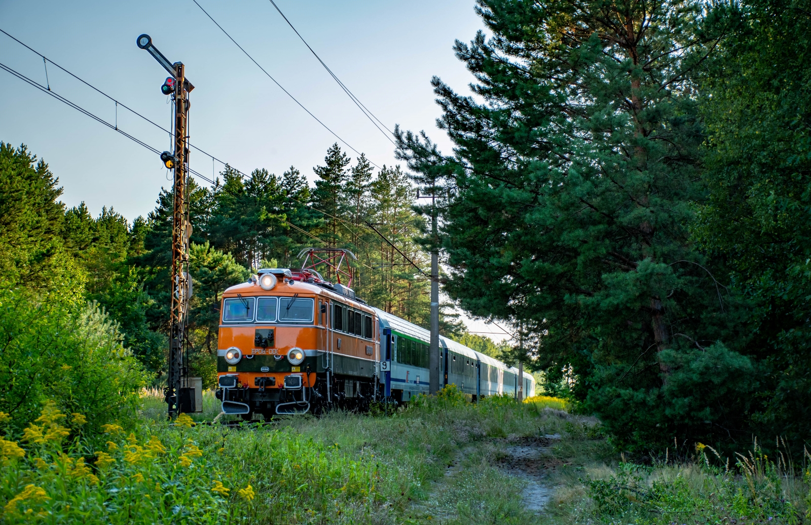 EP08-001 pod kształtowym