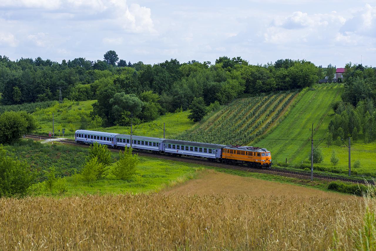 Świnia z Gór Wysokich