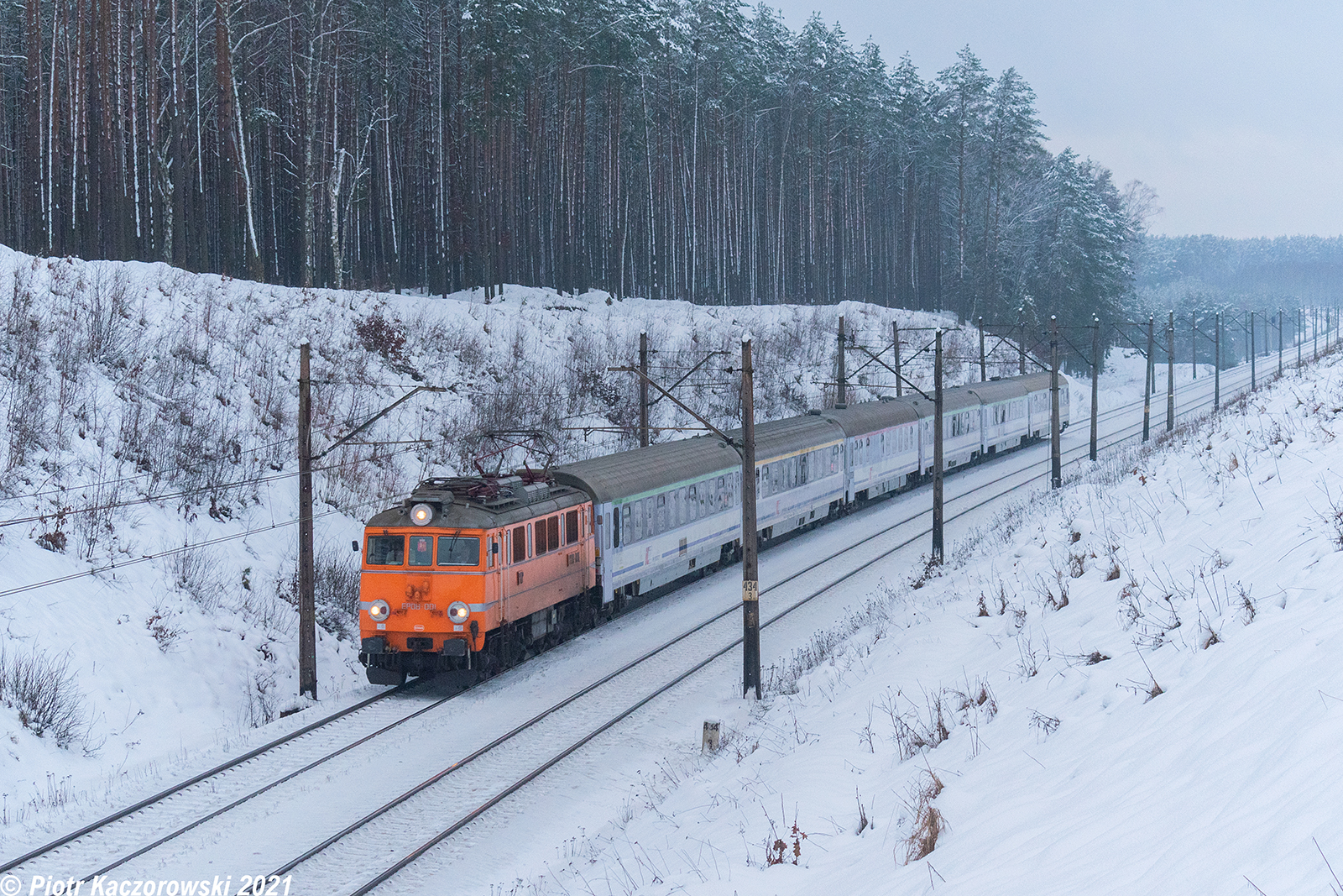 Świnka na Heweliuszu