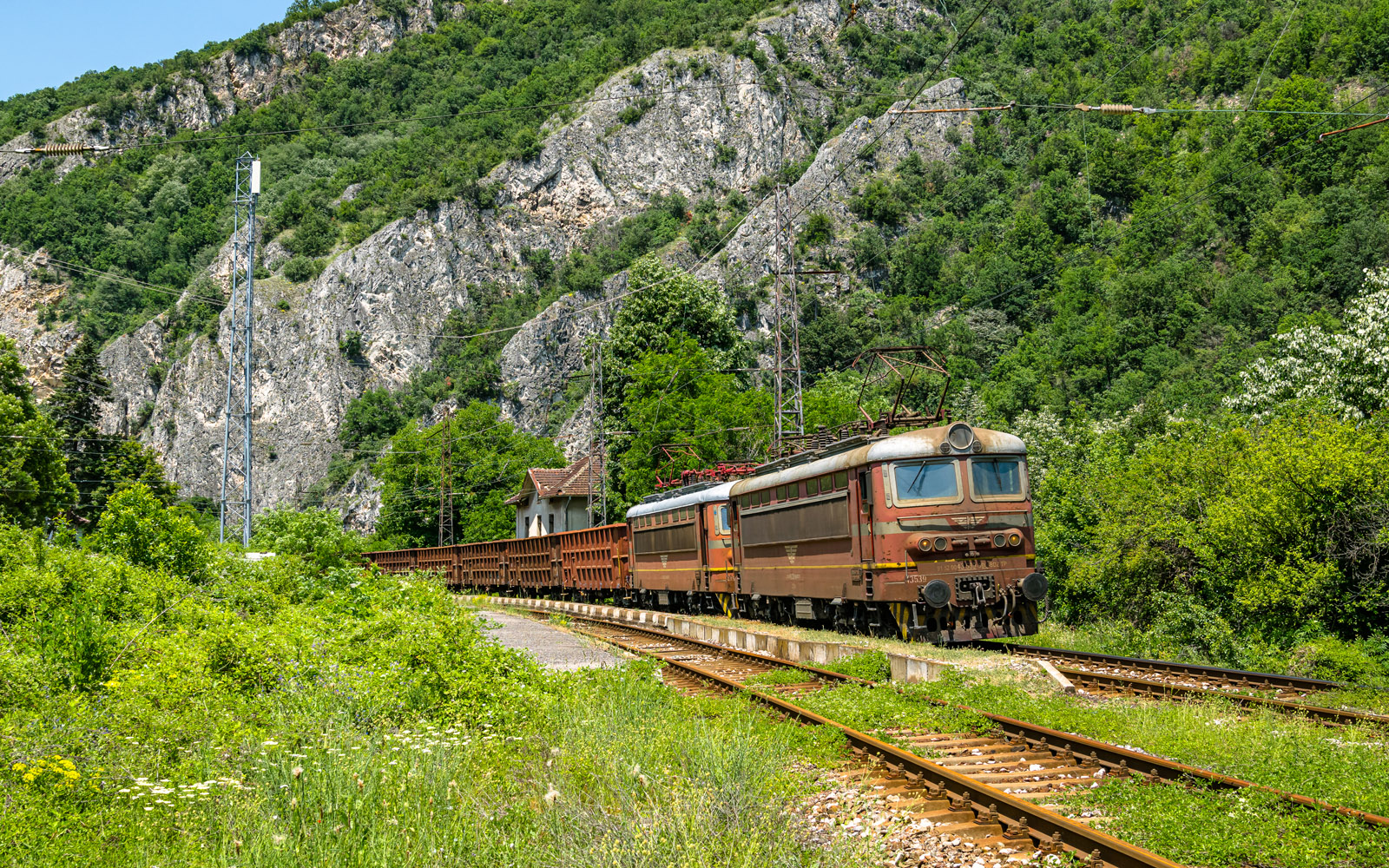 Plecháčki BDŻ Cargo