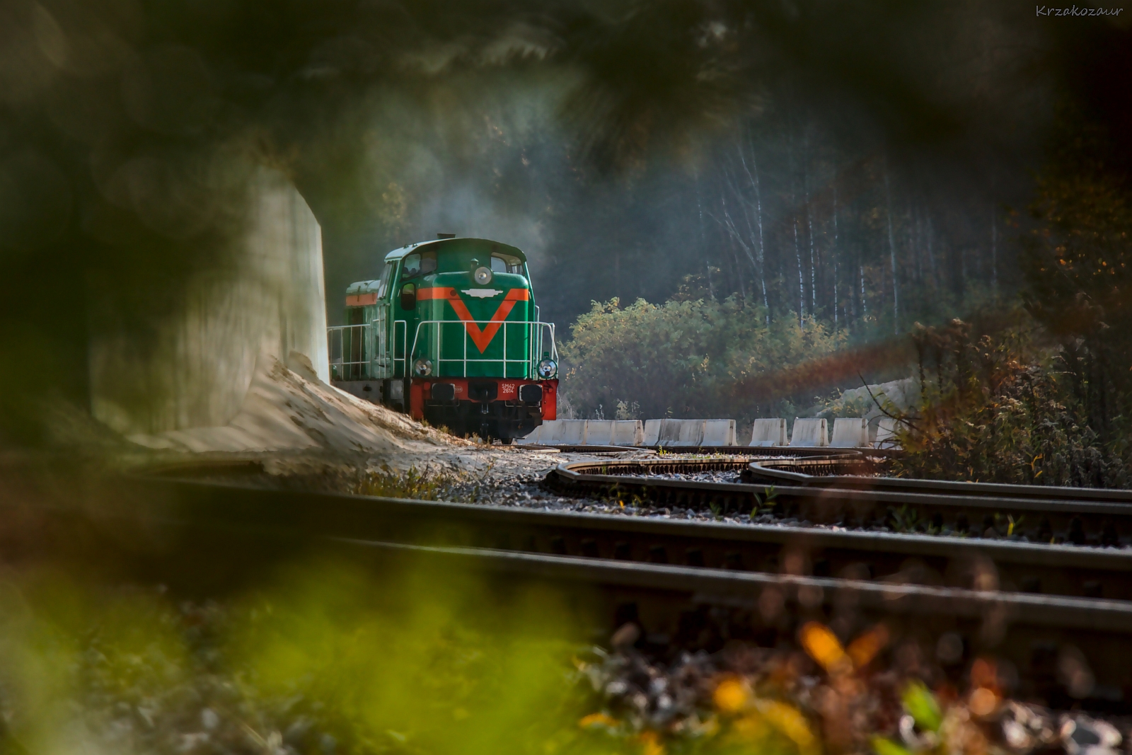 Fota z przyczajki wykonana...