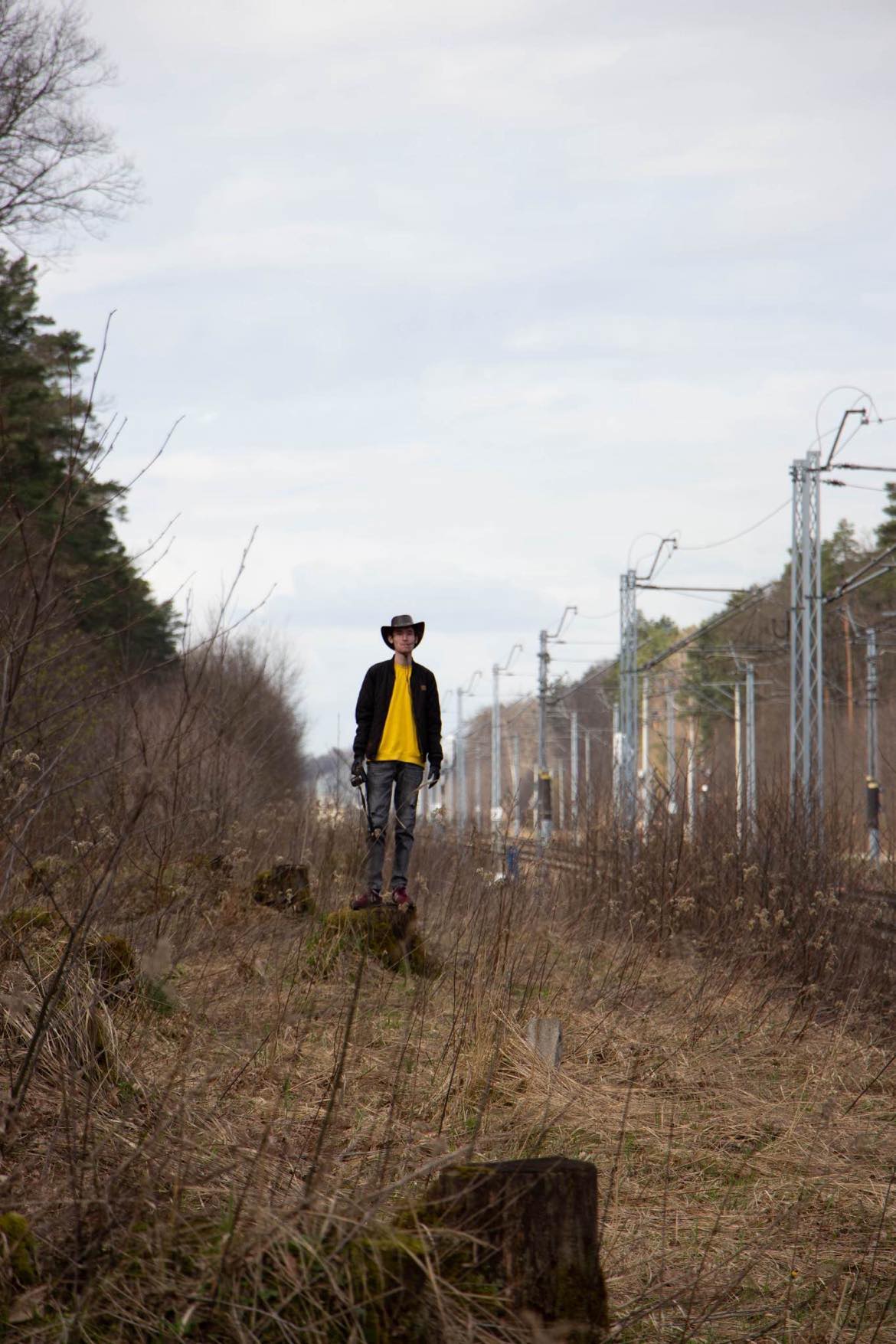 Szpak na ściętej czereśni