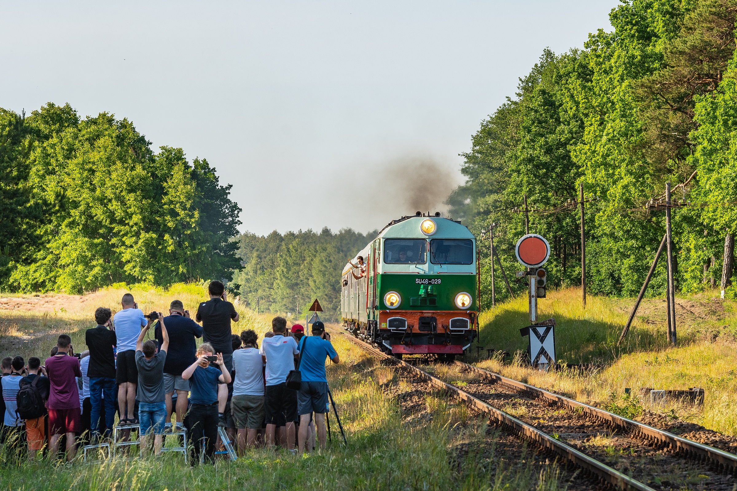 Szpak nie zdążył na czereśń