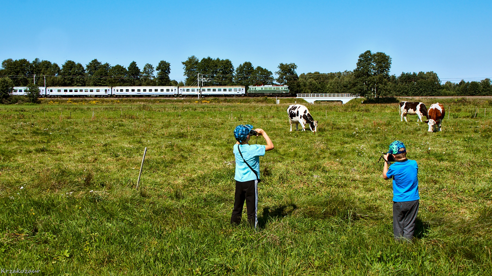 Warto się dzielić...