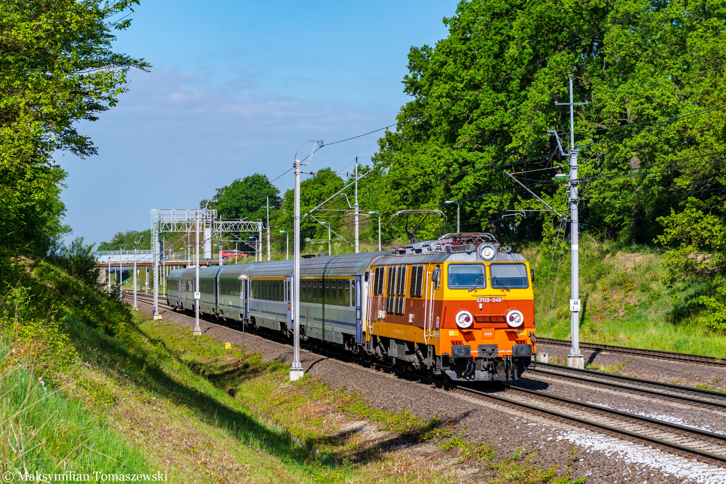 Zastępczy rodzyn