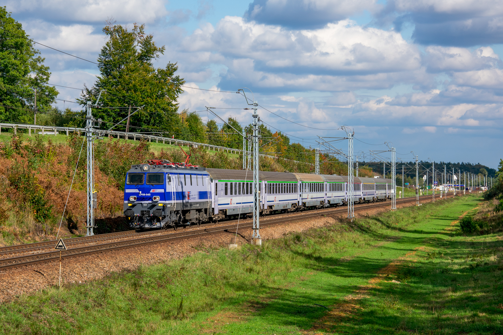 Jesienny Chełmoński