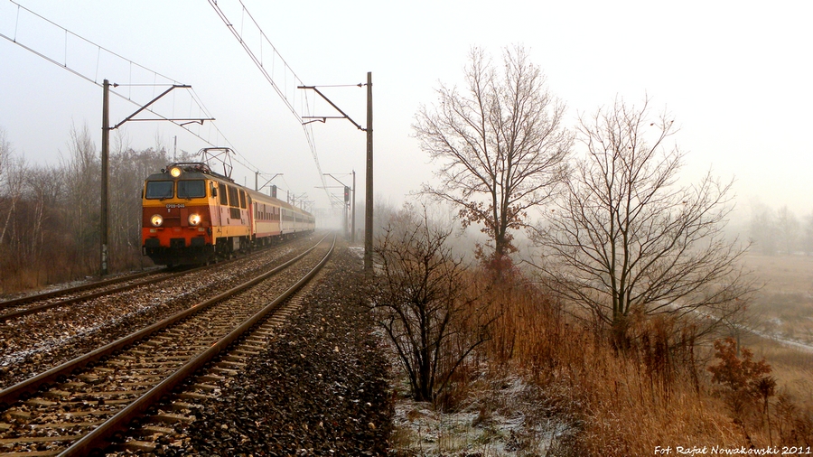 Sukiennice na żółtku