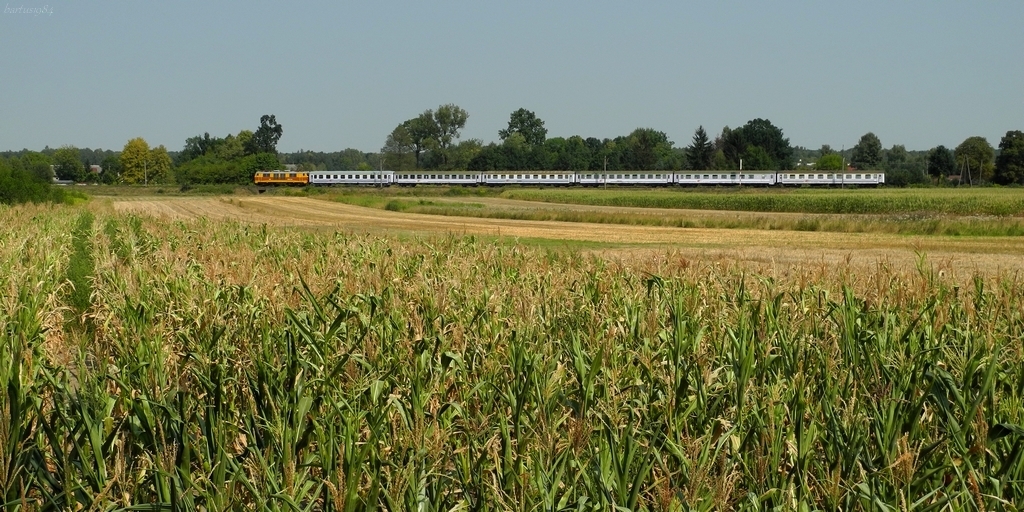 Jeden lubi pomarańcze....