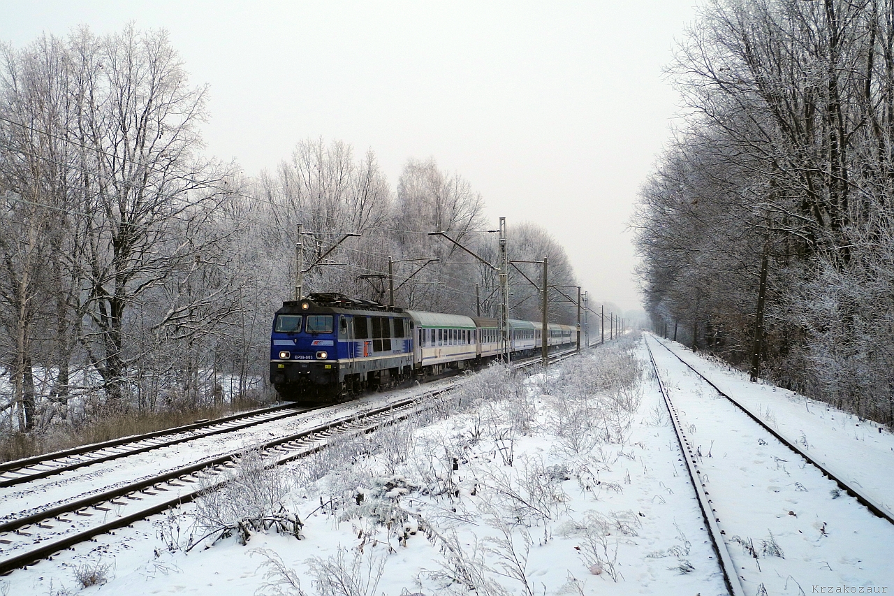 Różne rodzaje krzaków