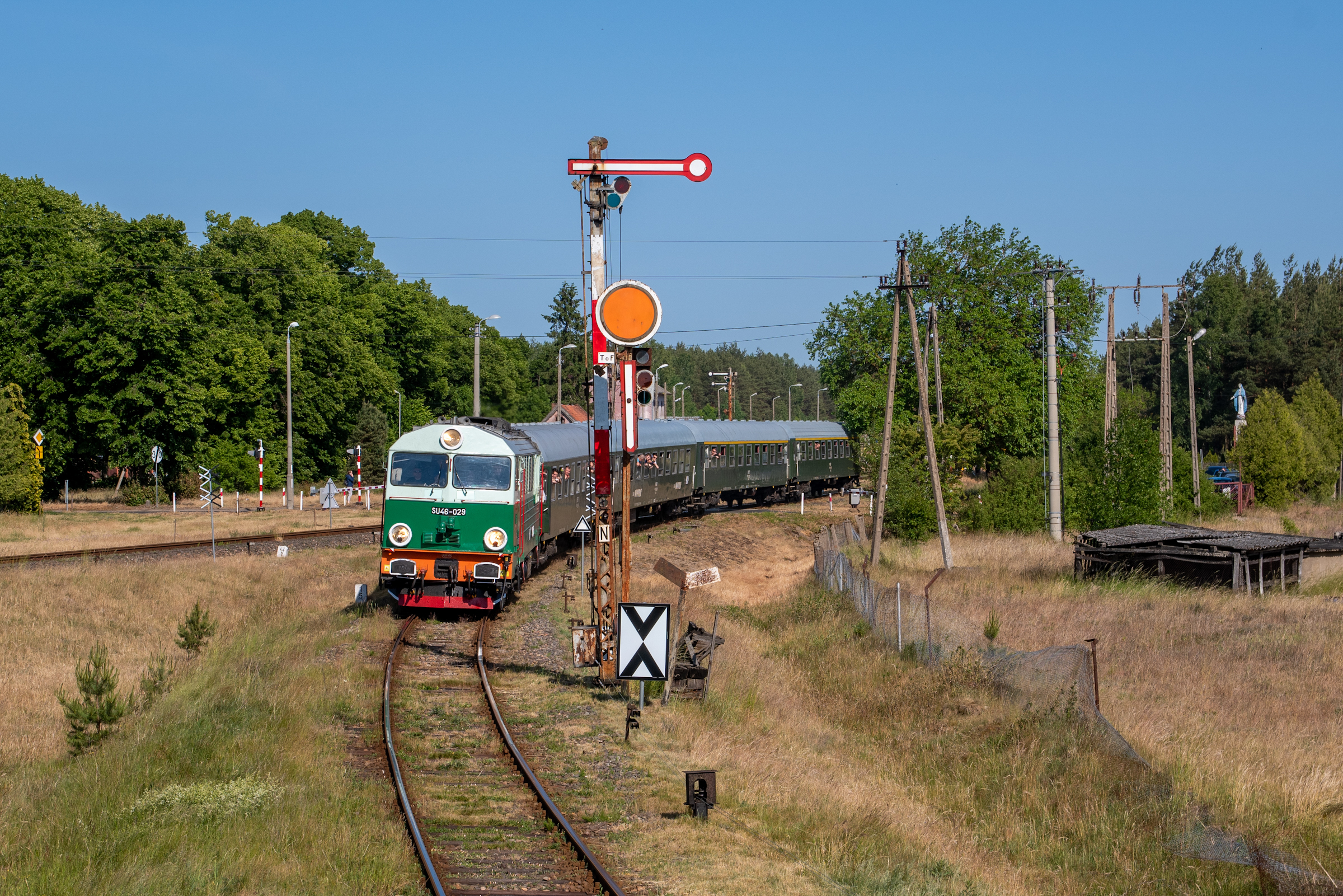 Z perspektywy szpaka
