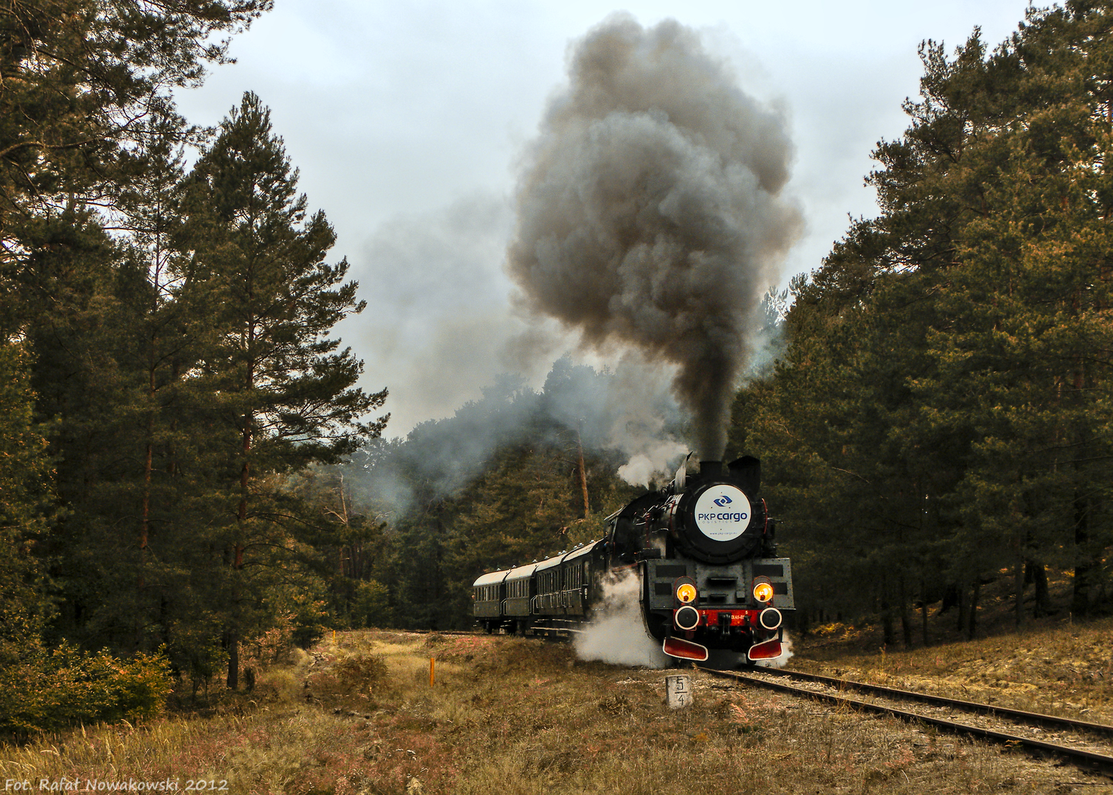 Dożynki prezydenckie