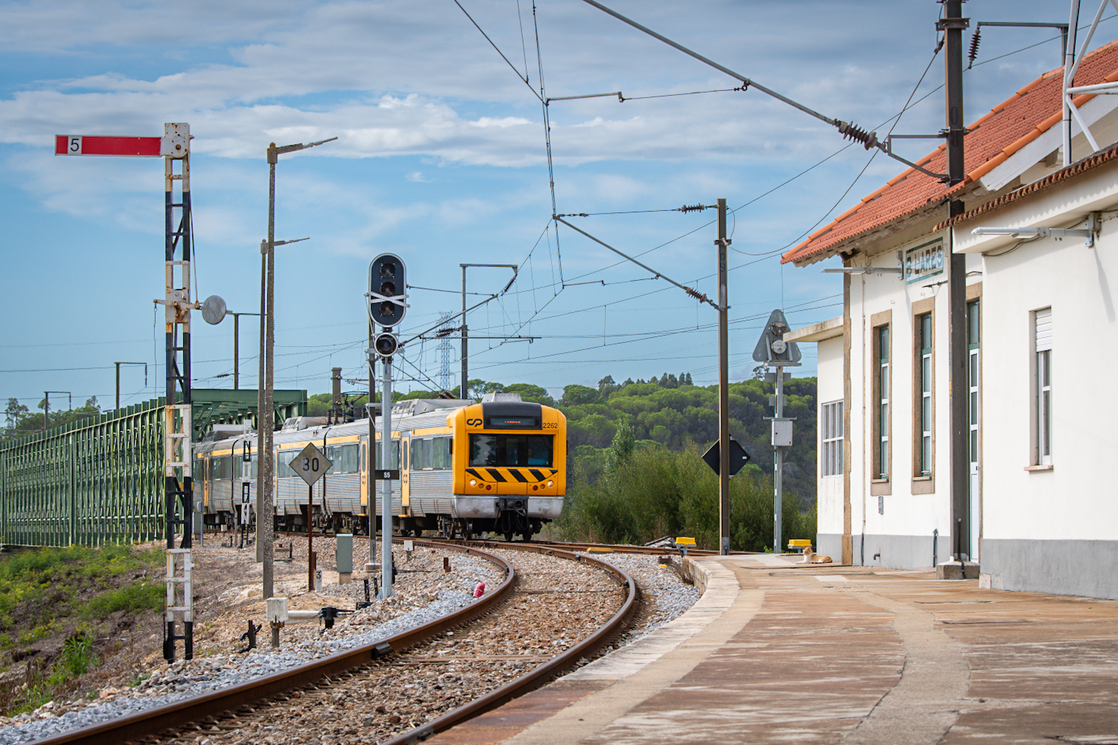 Szerokotorowe rarytasy