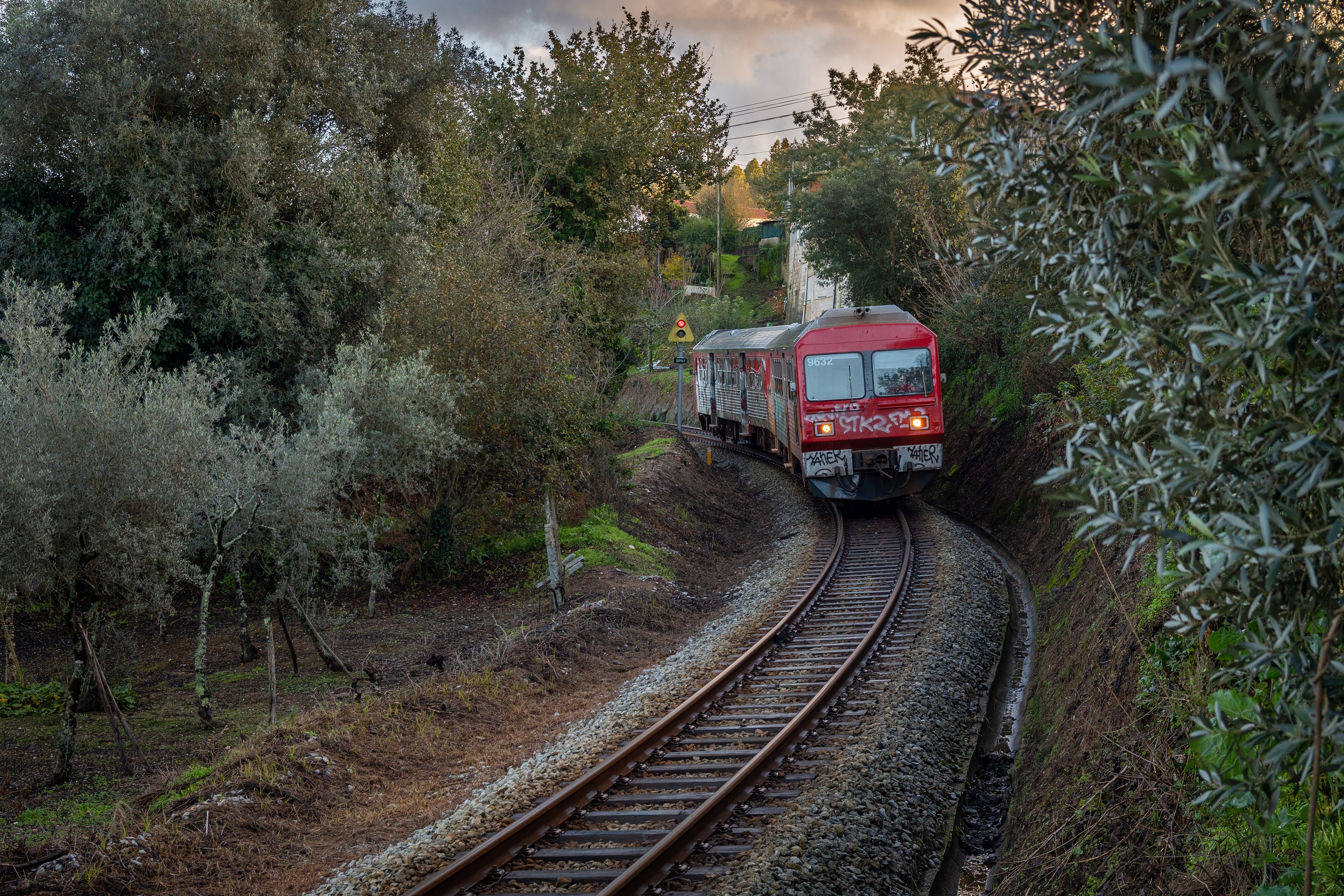 Wąski tor z przyszłością
