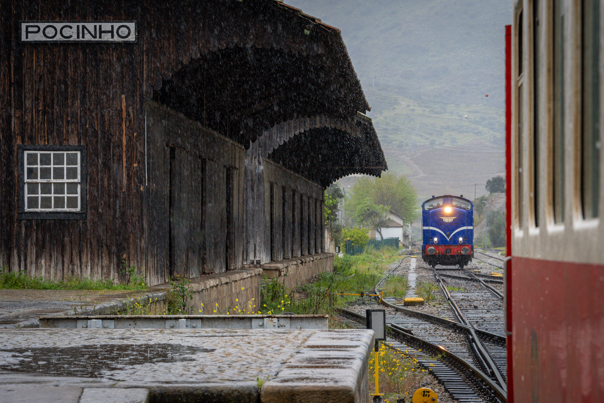 Pociąg międzynarodowy