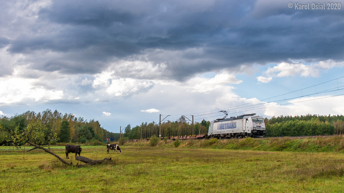 Metrans na "wypasie"