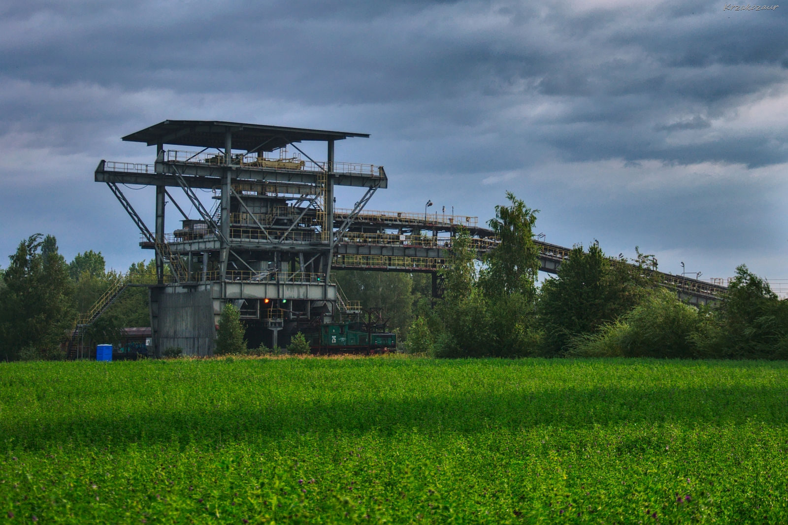 Krokodyl jeszcze uśpiony