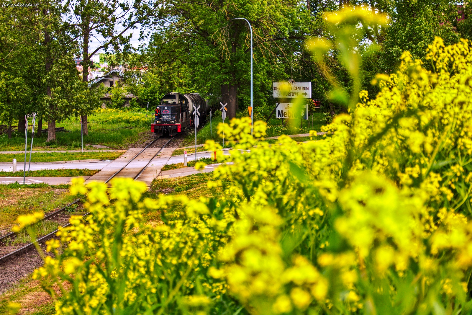 Kto się do kogo dostosował?