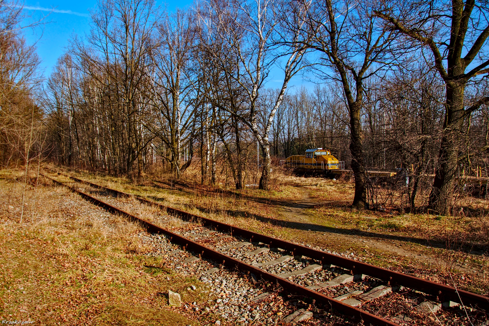 Pojawił się z pupy strony