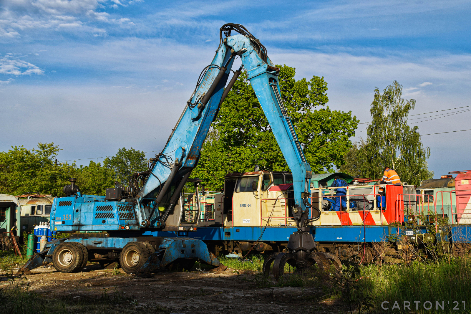 Wymieranie krokodyli