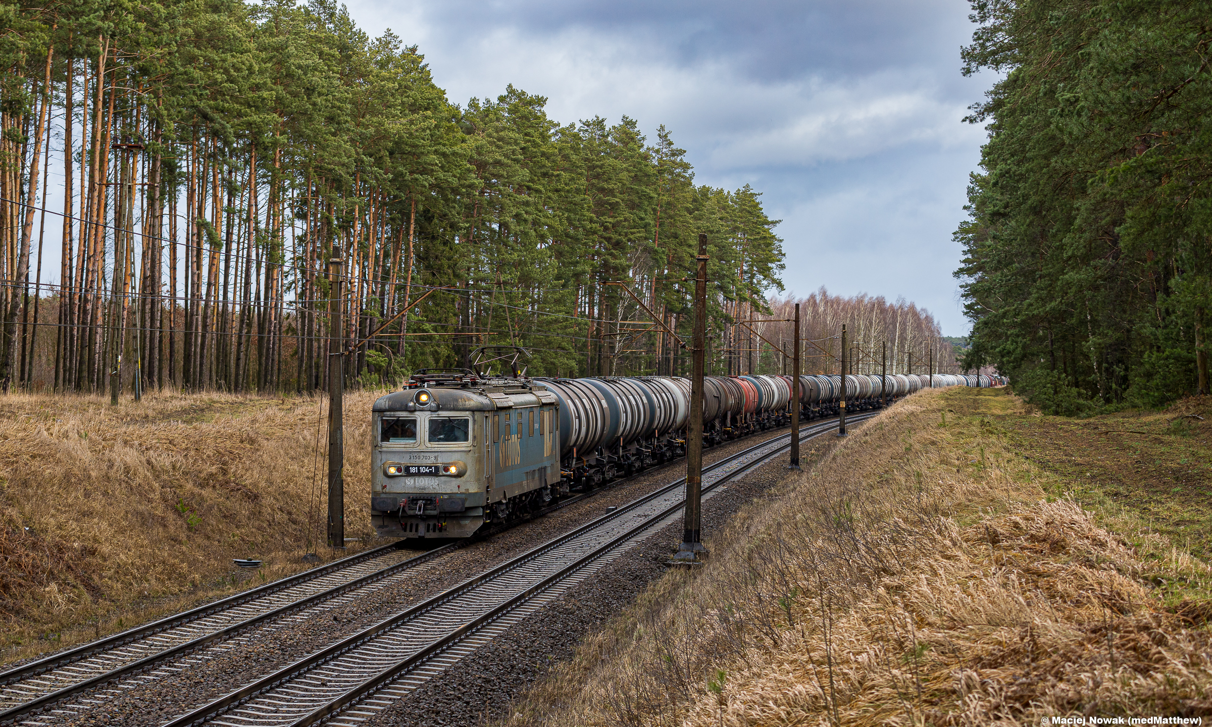 Srebrno-błękitna Skoda