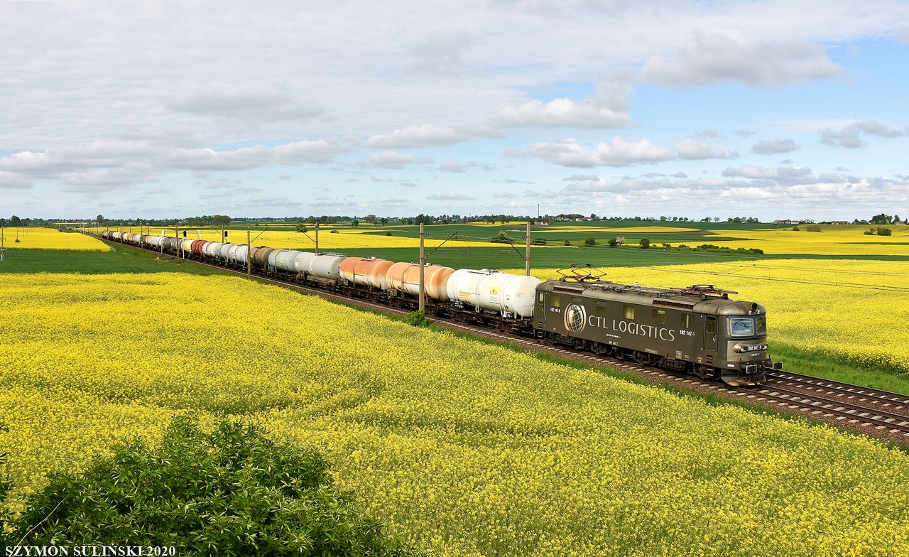 Czarna Skoda w rzepaku