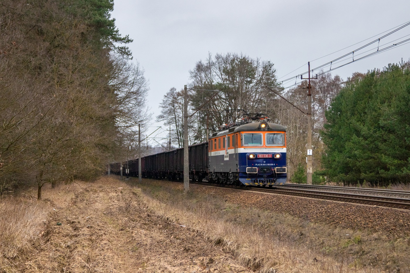 183-036 na leśnym łuku