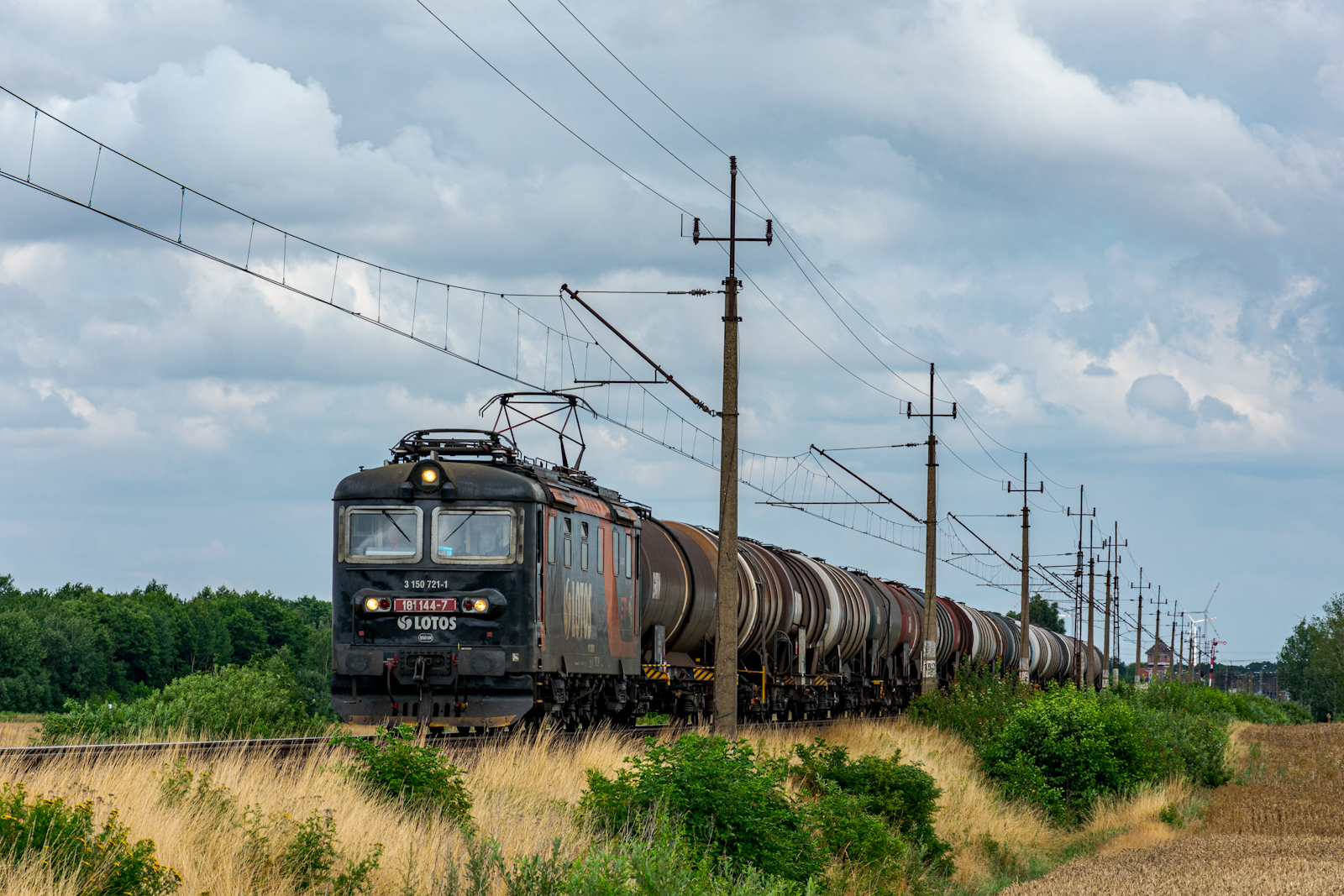 Lotosiak ze kształtem w tle