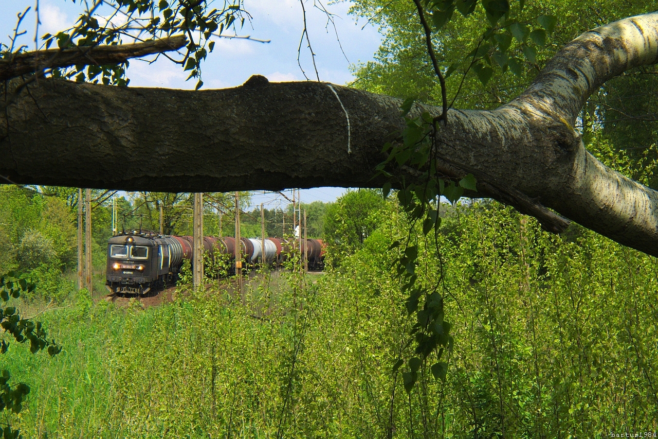 W poszukiwaniu wiosny.