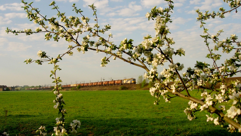 Przedsmak niedzielnego spotkania:)