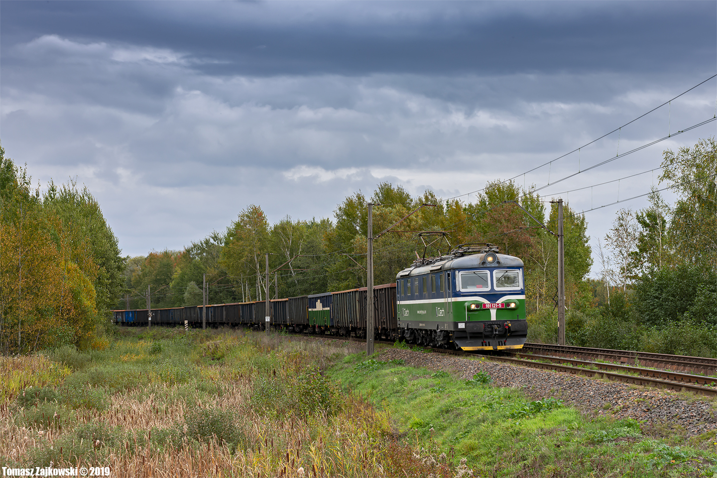 Rzadki gość na esełce