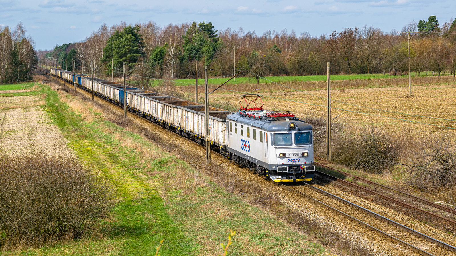 Biała Skoda na S-Ł