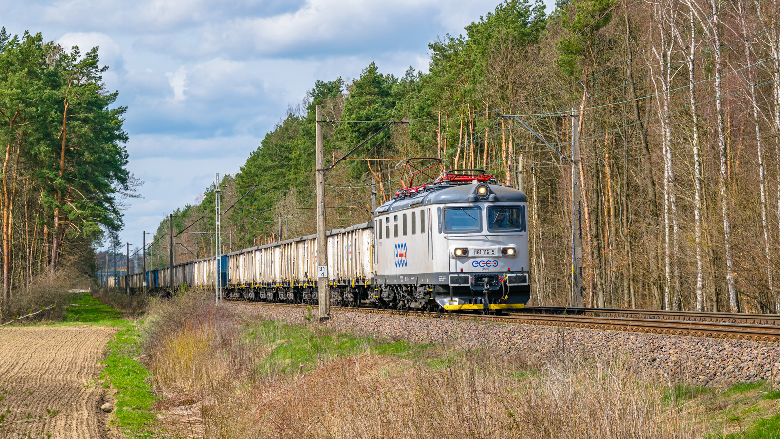 Biała Skoda na S-Ł