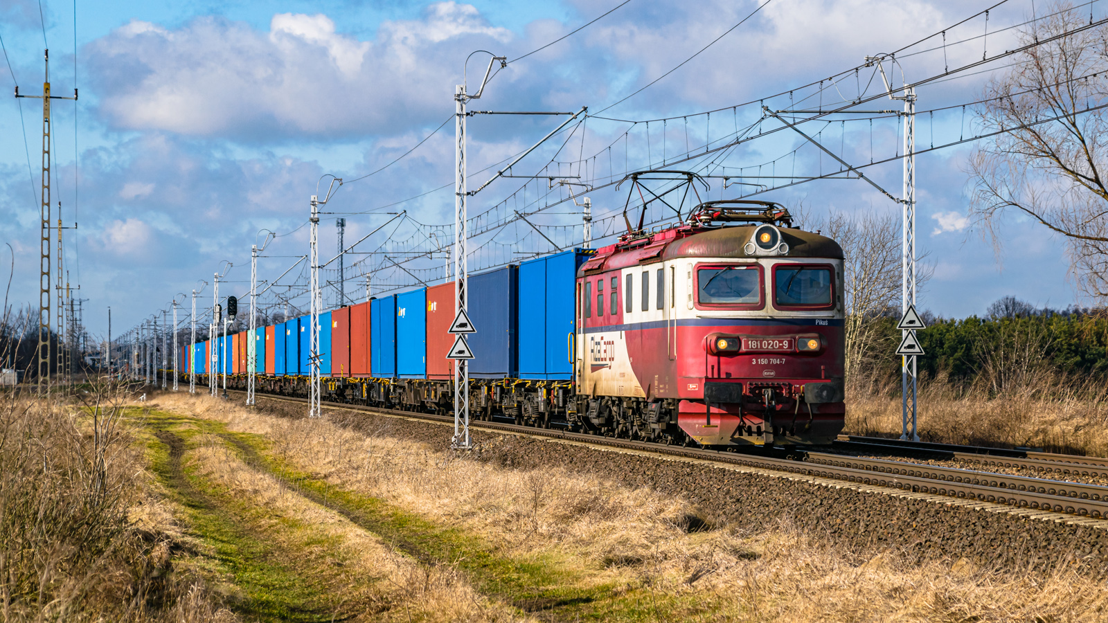 Pikuś pod Łowiczem