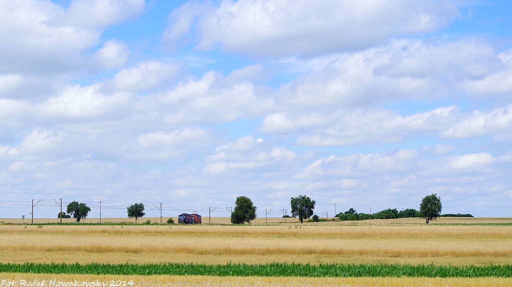Węglówkowy samotnik