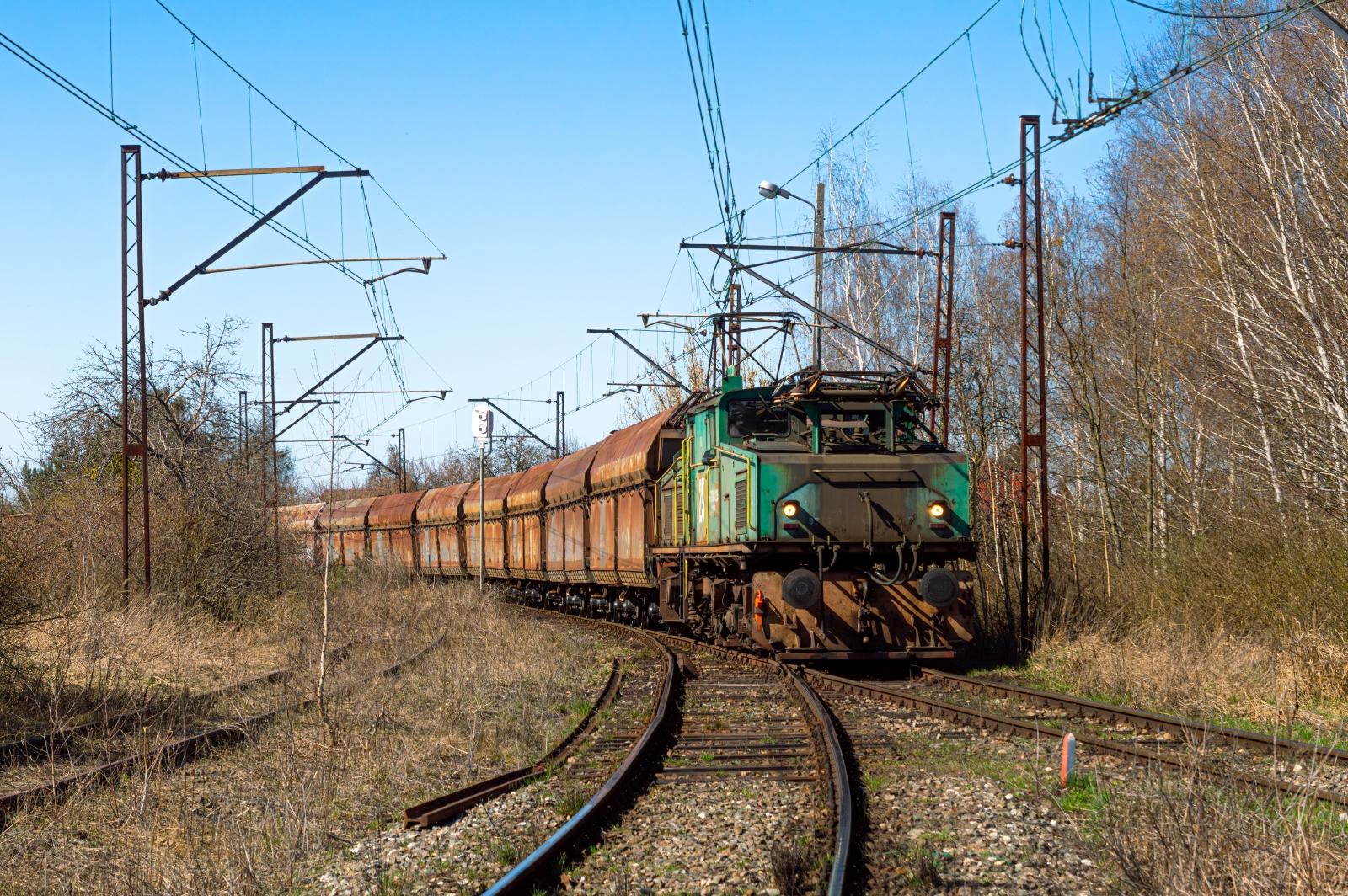 Krokodyl na trójkącie