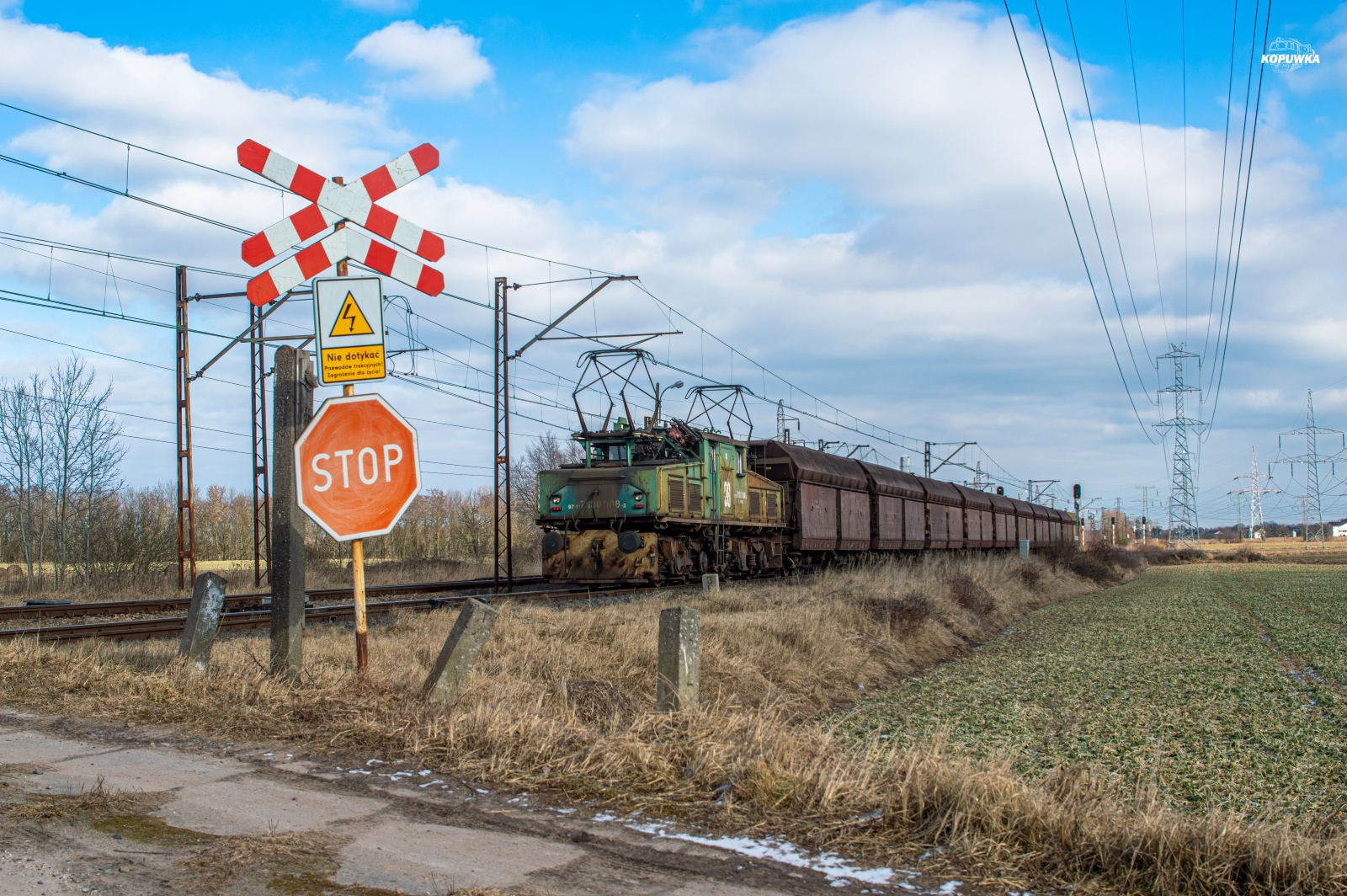 industrialny krokodyl