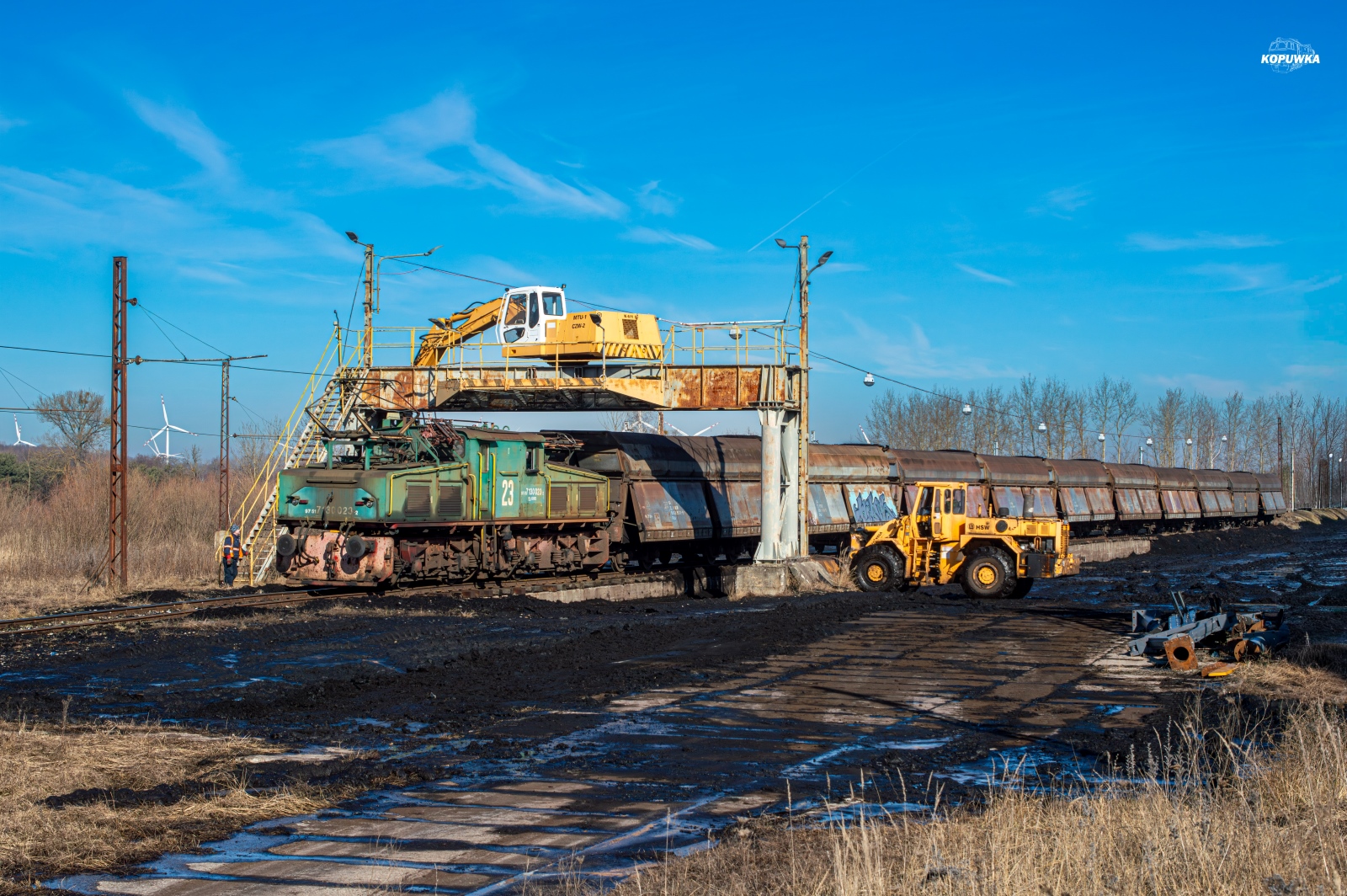 Krokodyl na czyszczeniu