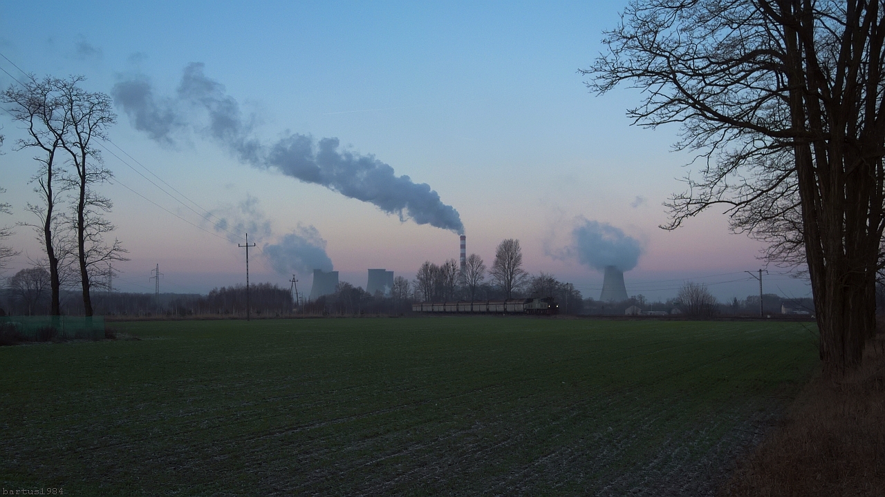 Los, cebula i krokodyle łzy...