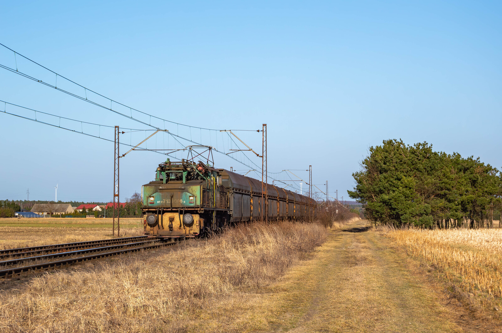 Popołudniowy krokodyl