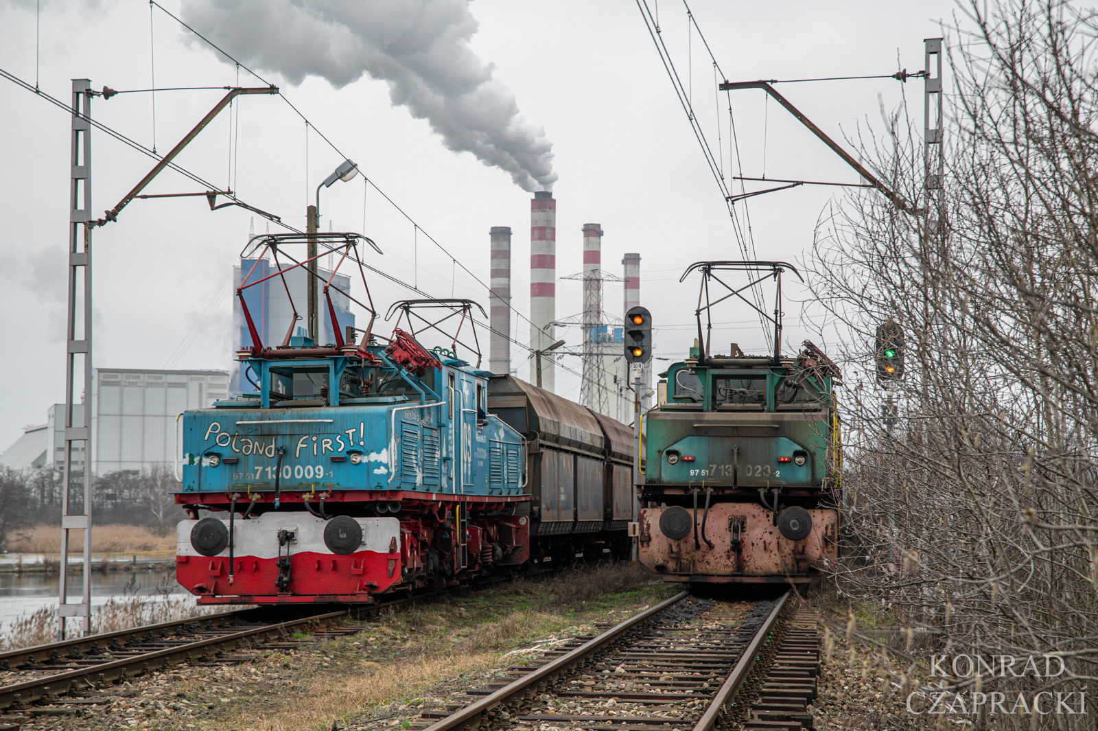 Los Cebula i krokodyle łzy