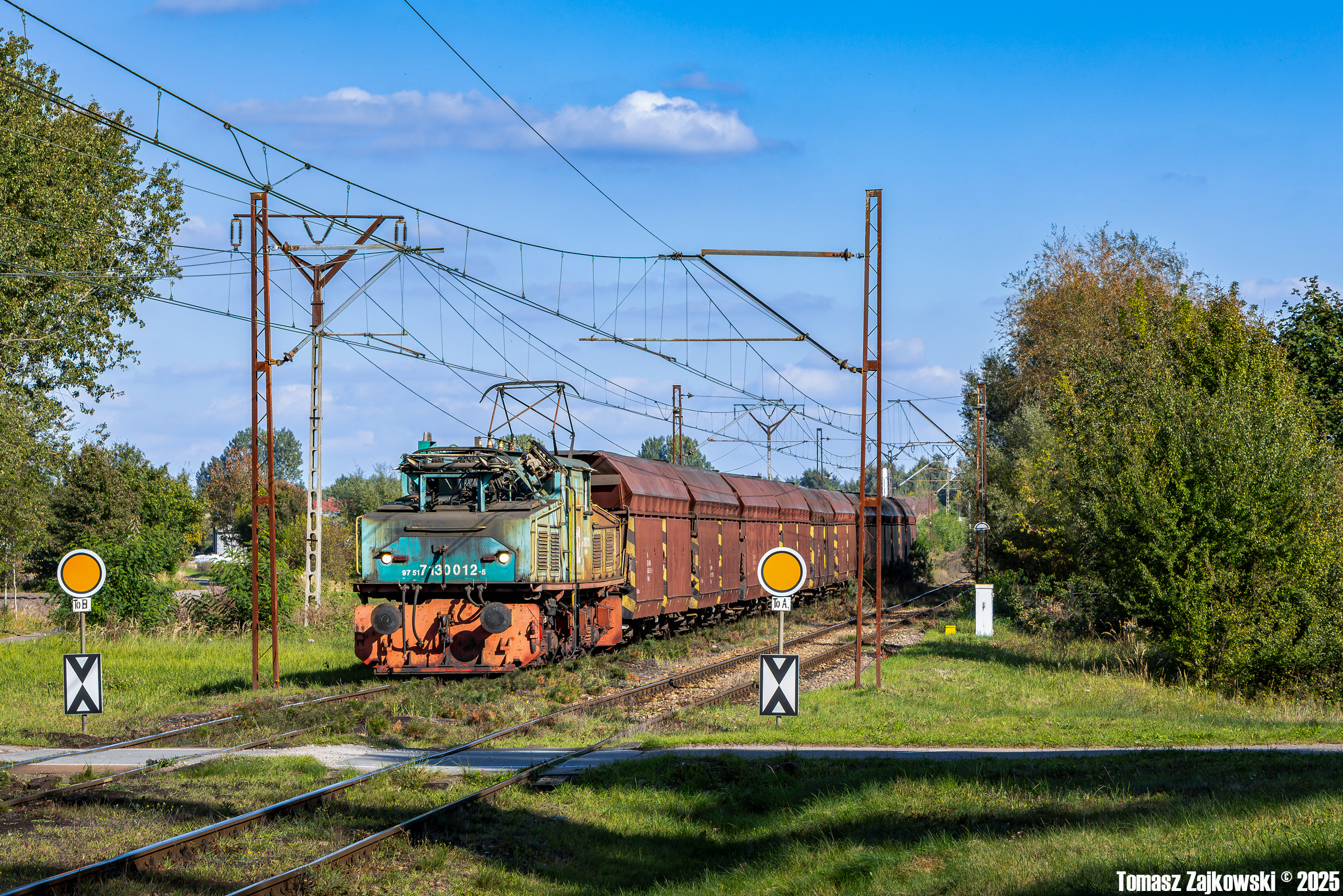 Moje pożegnanie z krokodylami