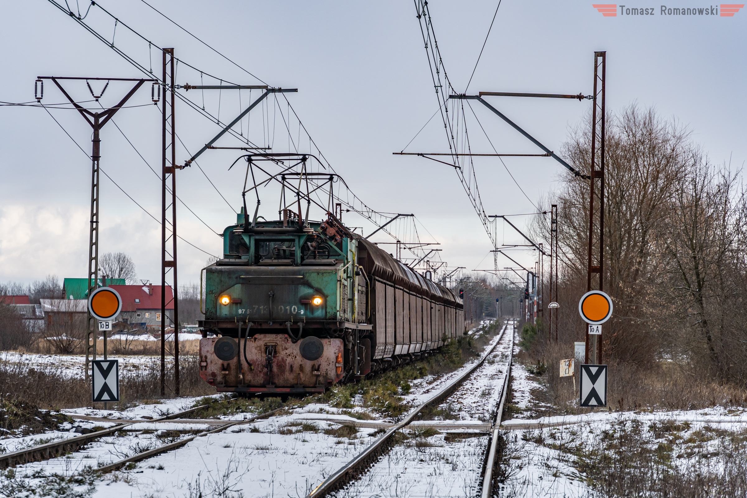 Krokodyl pod tarczami