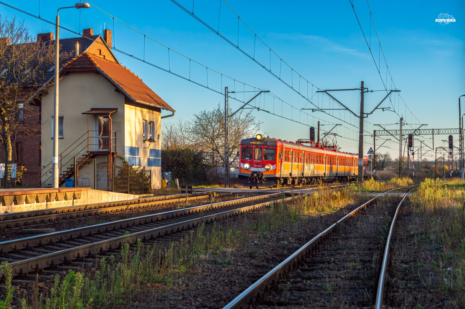 Święto lasu na wielkopolskich torach