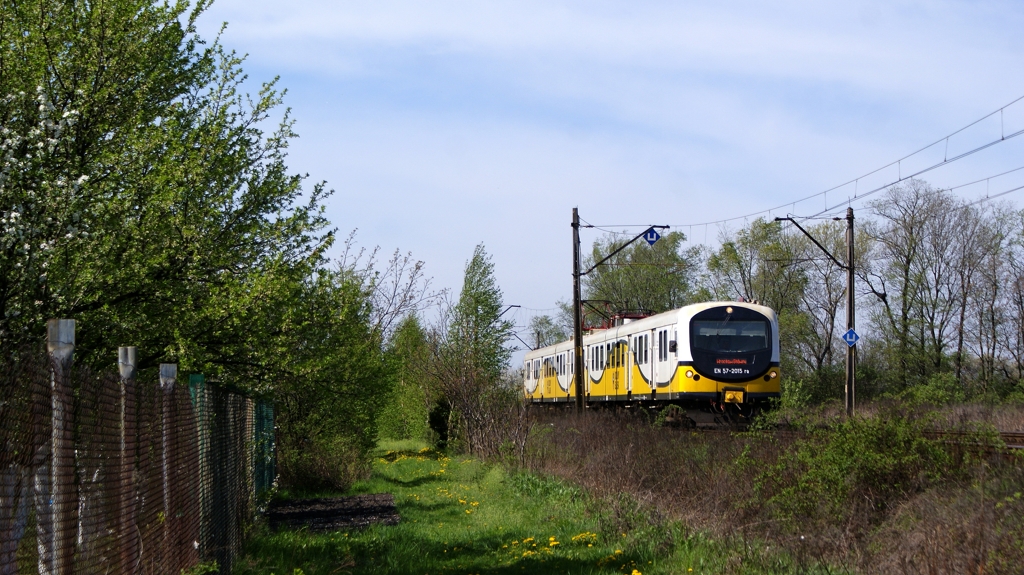 A obok ogródków...