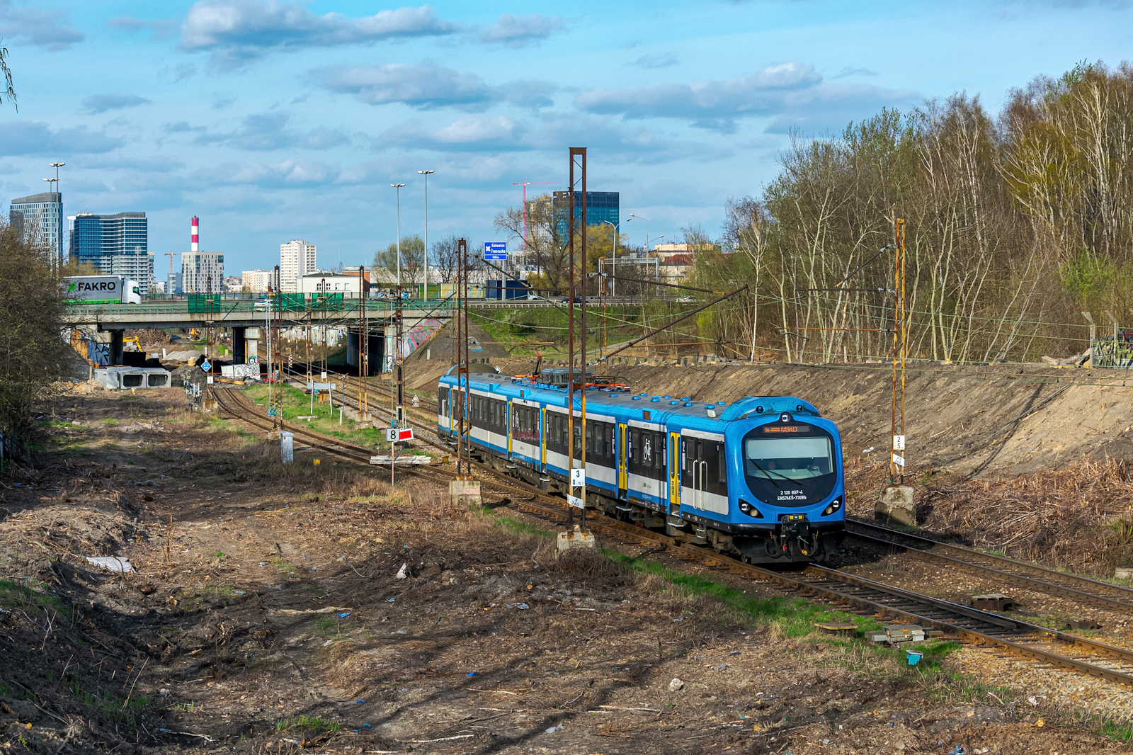 Klop na tle wieżowców
