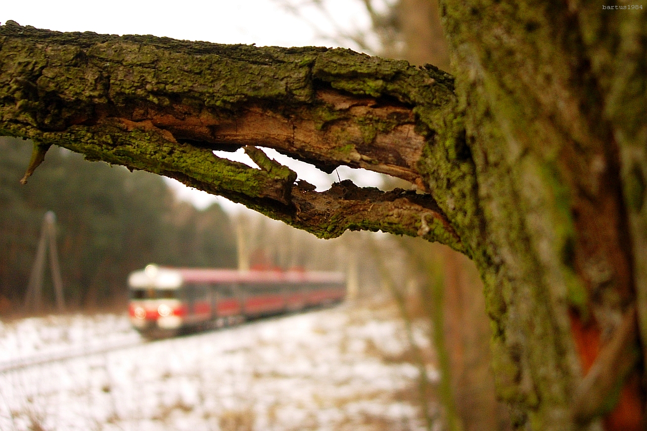 Coś we mnie pękło...