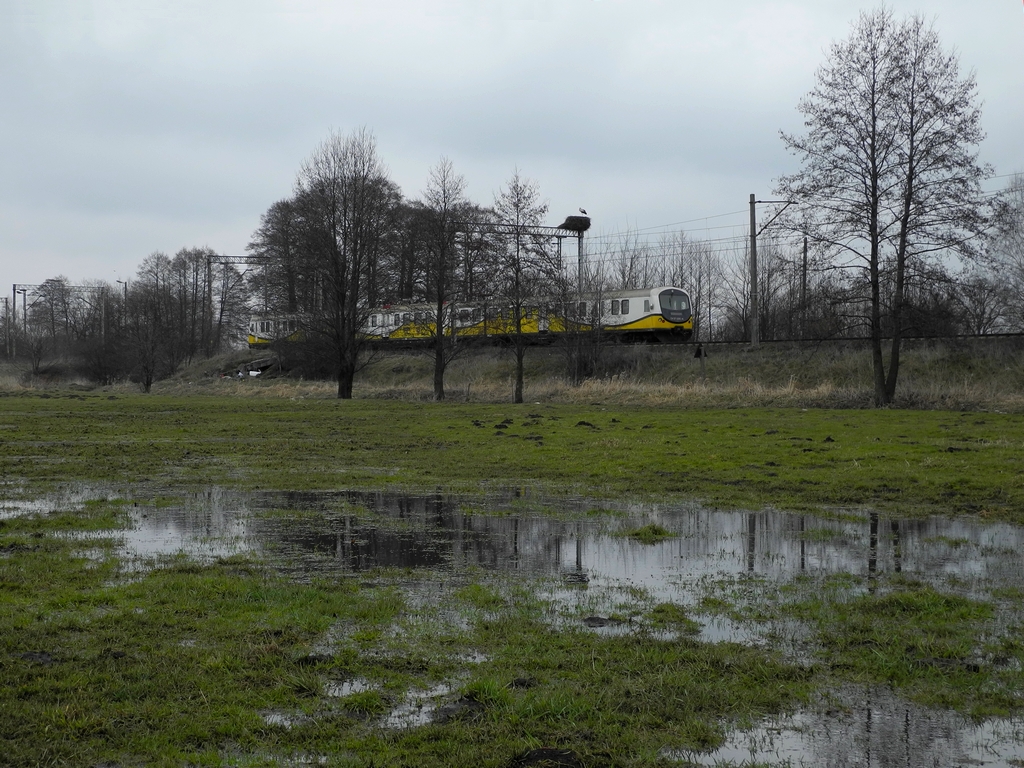 Wskaźniki wiosny...