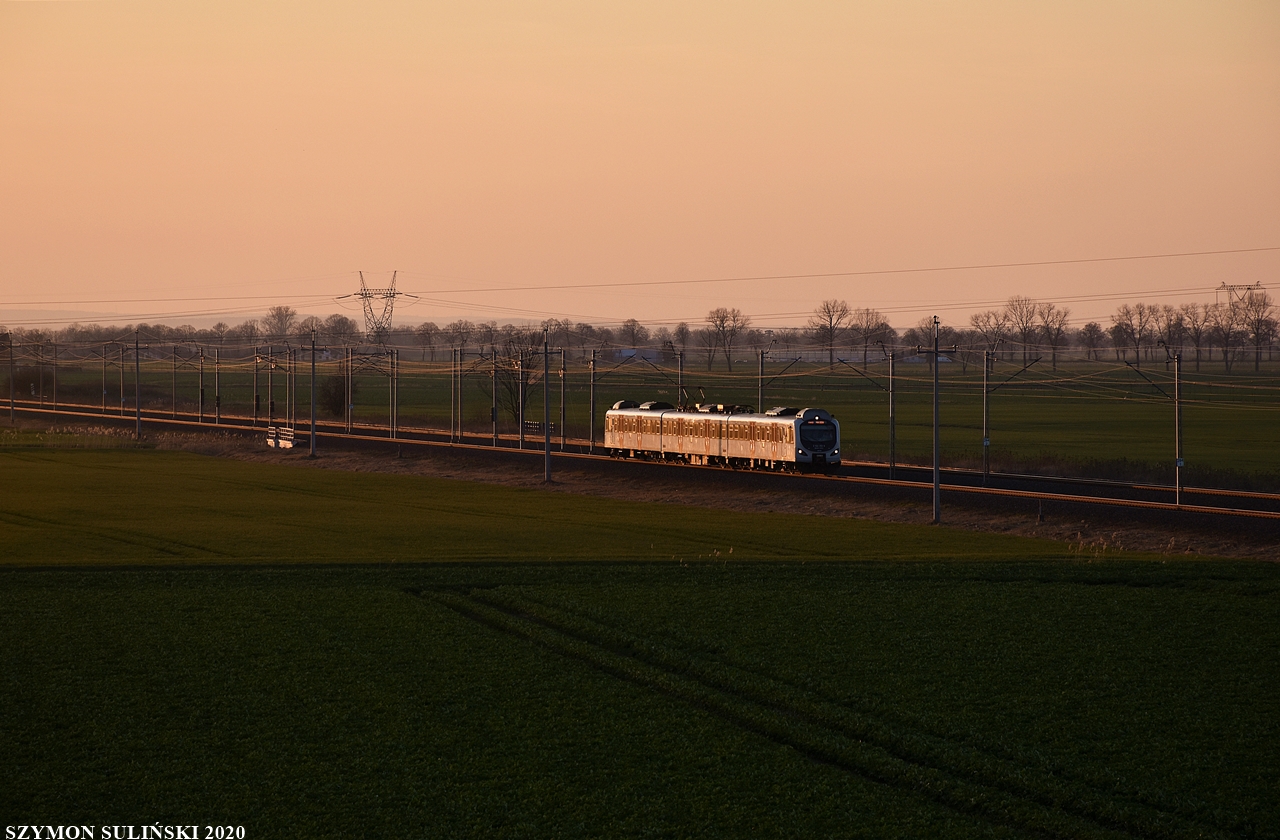 Apacz w Stogach Malborskich