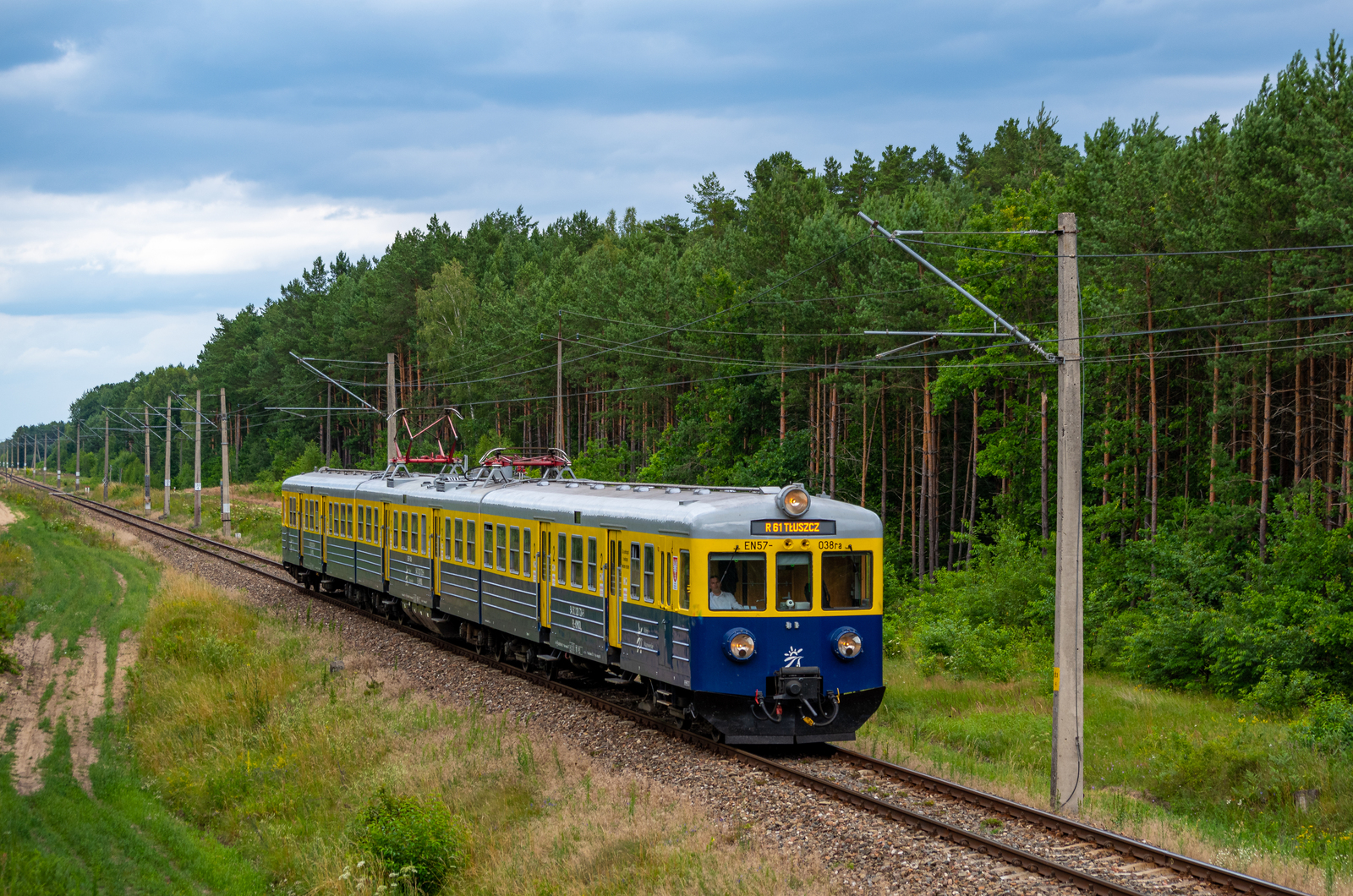 "Babcia" w leśnej odsłonie
