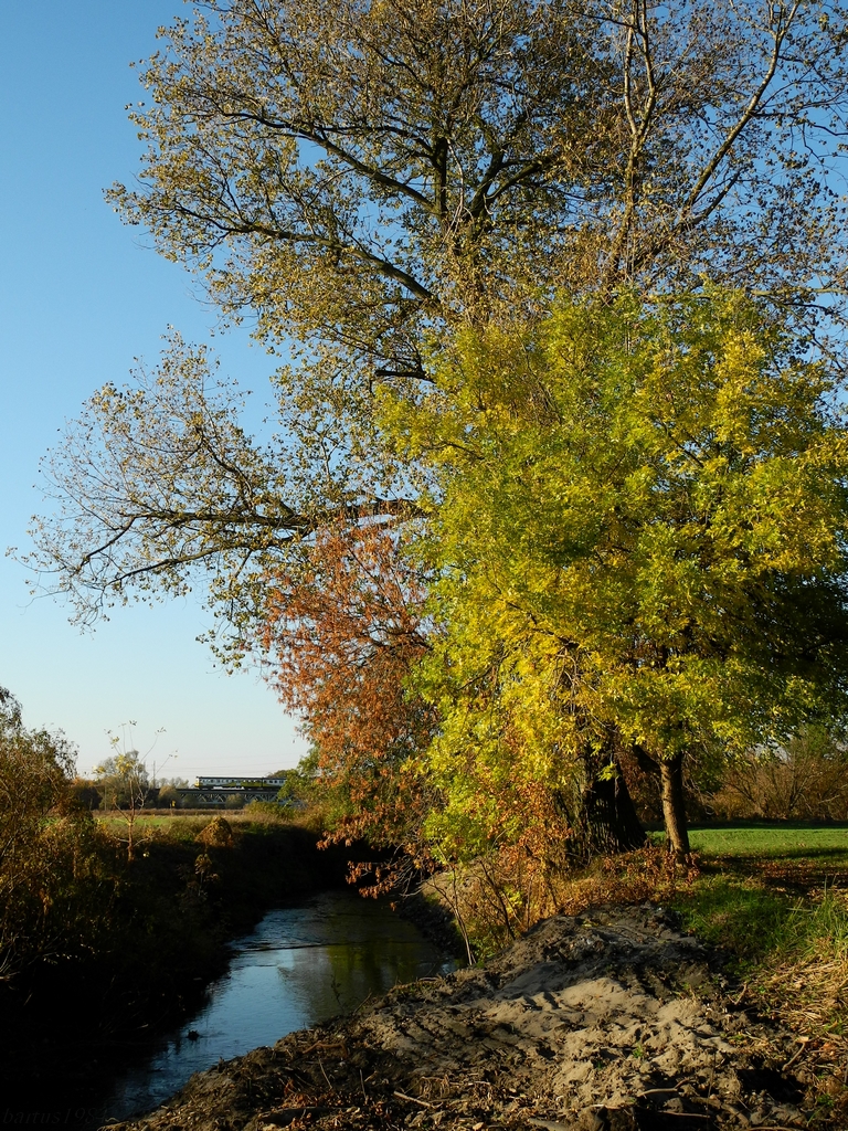 Kibelek tez potrafi pozować...